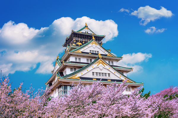 Castelo de Osaka no Japão, visto na época da florada das cerejeiras.
