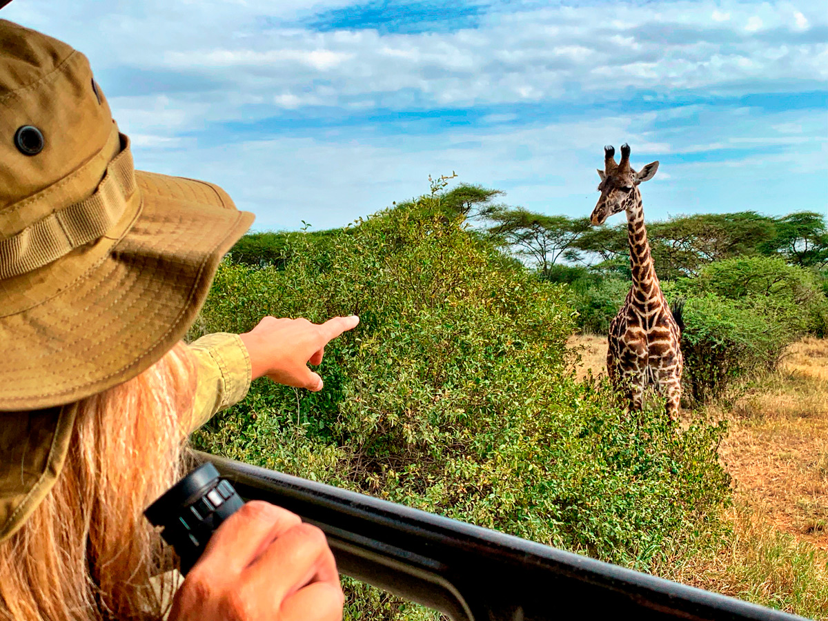 Safari na África: explore o parque Kruger em roteiro exclusivo