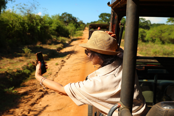 Mulher tirando foto de animais durante safari africano, de dentro do jipe.