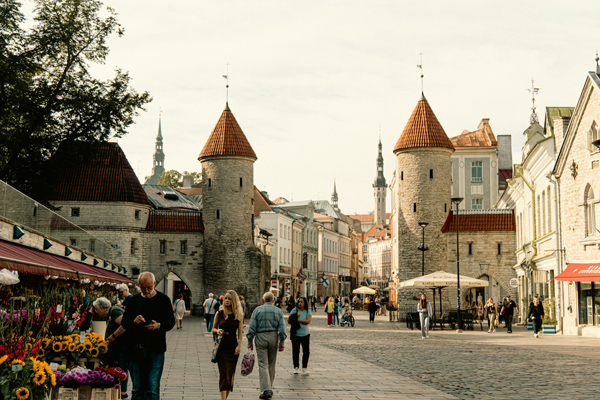 Cidade antiga de Tallin, com construções que lembram castelos em meio a paisagem da cidade.