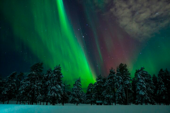 Aurora boreal na Finlândia iluminando uma floresta coberta de neve, com tons verdes e avermelhados contrastando com o céu noturno.