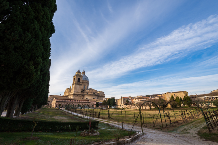 Roteiro pela Toscana em San Gimignano, com vinhedos, muralhas históricas e a paisagem rural típica da região