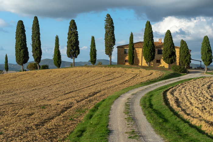 Roteiro pela Toscana na Val d’Orcia, com estrada de terra, ciprestes alinhados e paisagem rural de Pienza ao fundo