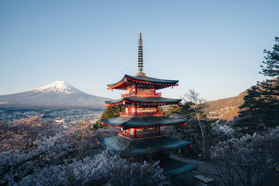 Pagode Chureito com o Monte Fuji ao fundo e cerejeiras em flor