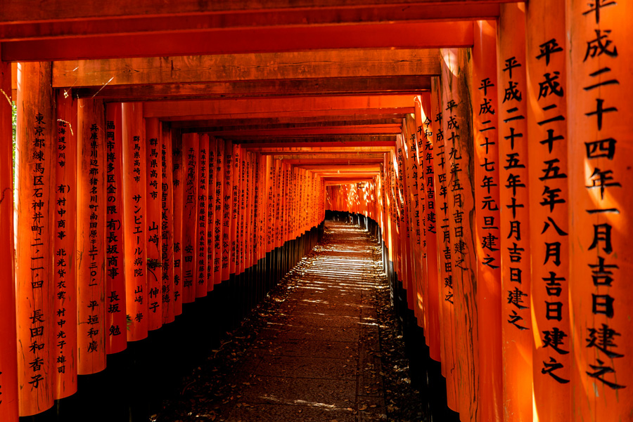 Corredor de torii vermelhos no Santuário Fushimi Inari Taisha, em Kyoto